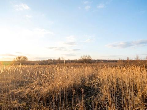 ділянка за адресою Ірпінь, 