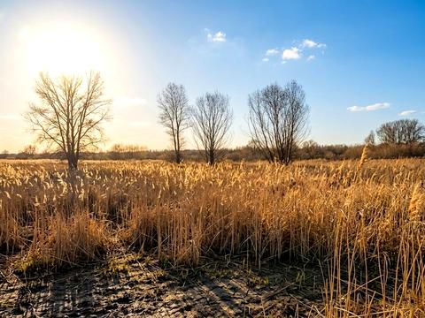 ділянка за адресою Ірпінь, 
