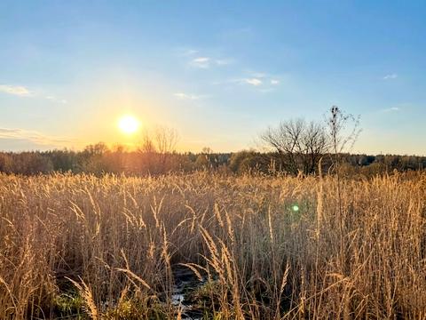 ділянка за адресою Ірпінь, 