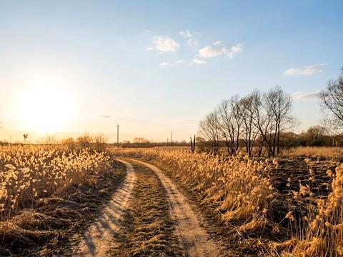 ділянка за адресою Ірпінь, 