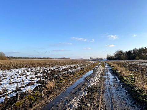 ділянка за адресою 