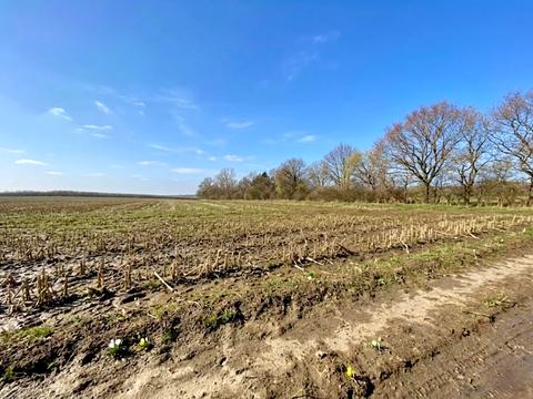 ділянка за адресою 