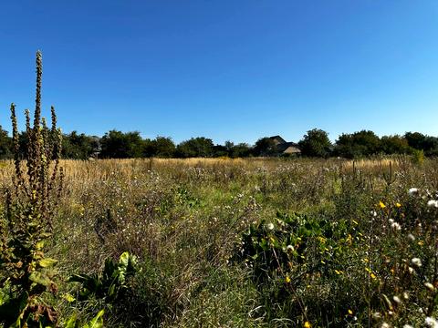 ділянка за адресою Ворошилова