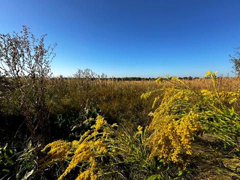 ділянка за адресою Ворошилова