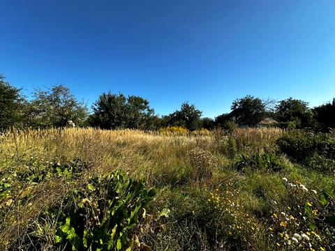 ділянка за адресою Ворошилова