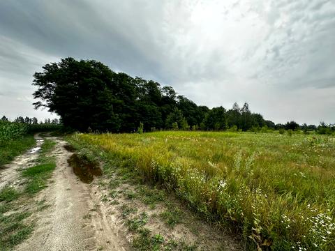 участок по адресу 