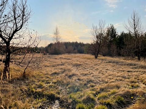 ділянка за адресою 