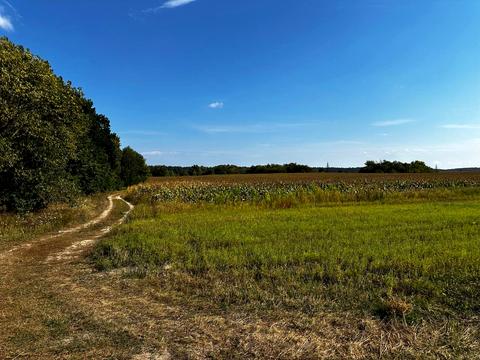 ділянка за адресою 