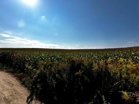 ділянка за адресою 