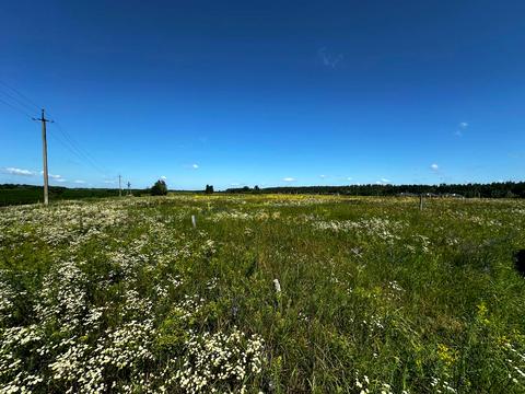 ділянка за адресою Наталії Ужвіст, 42