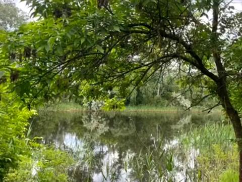 будинок за адресою СТ Ізумруд
