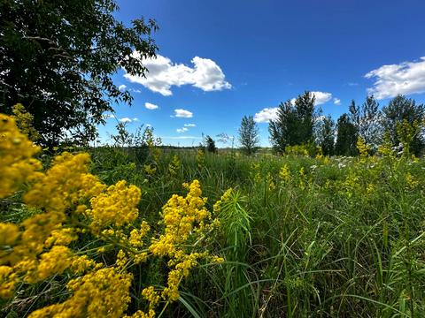 участок по адресу 