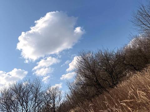 участок по адресу 3-й проїзд Світлий