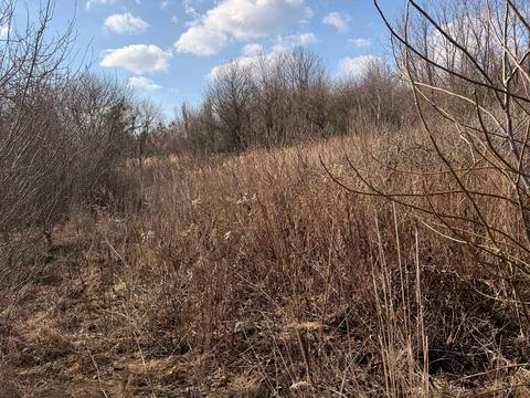 ділянка за адресою 3-й проїзд Світлий