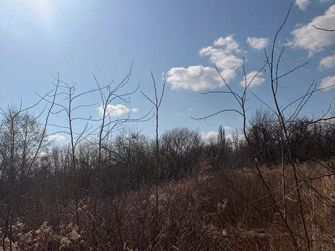 участок по адресу 3-й проїзд Світлий