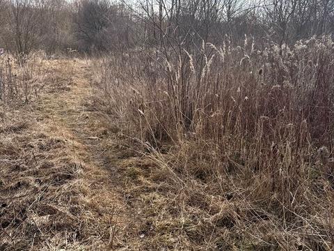 участок по адресу 3-й проїзд Світлий