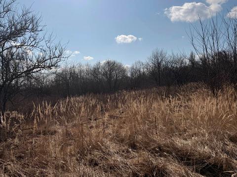 участок по адресу 3-й проїзд Світлий