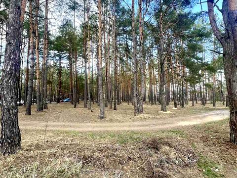 ділянка за адресою садова