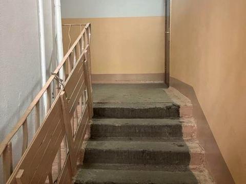 квартира по адресу Рокоссовского маршала просп., 10-А