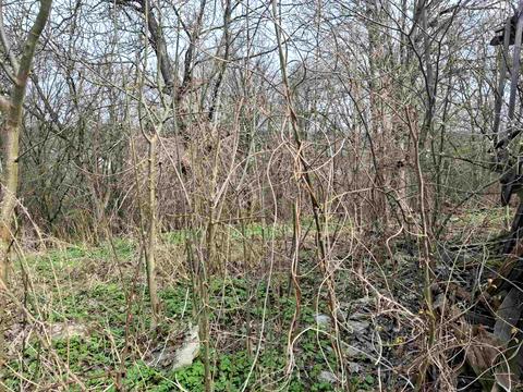 участок по адресу Сельская ул., 13