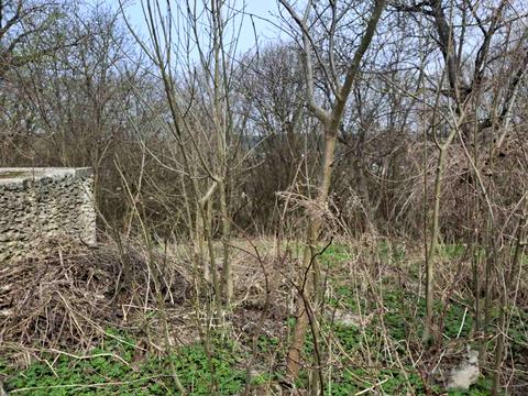 участок по адресу Сельская ул., 13