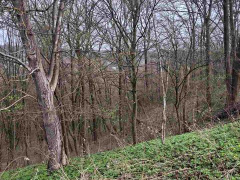 участок по адресу Сельская ул., 13