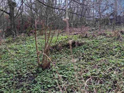 участок по адресу Сельская ул., 13