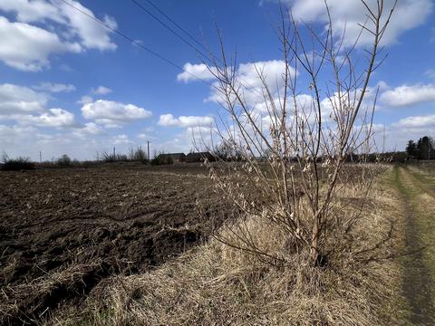 участок по адресу Миру
