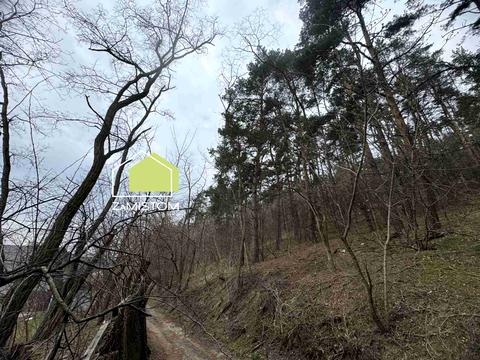 участок по адресу Гагаріна, 12