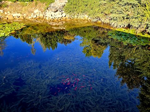 будинок за адресою Рута, 47