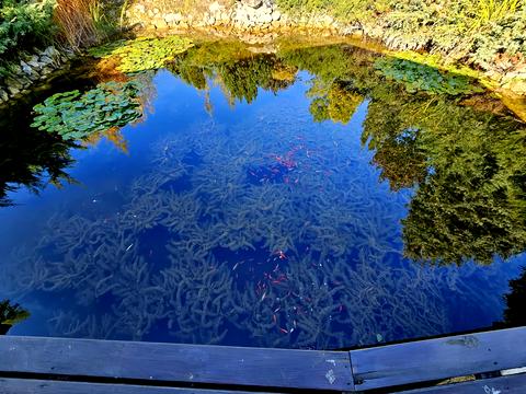 будинок за адресою Рута, 47