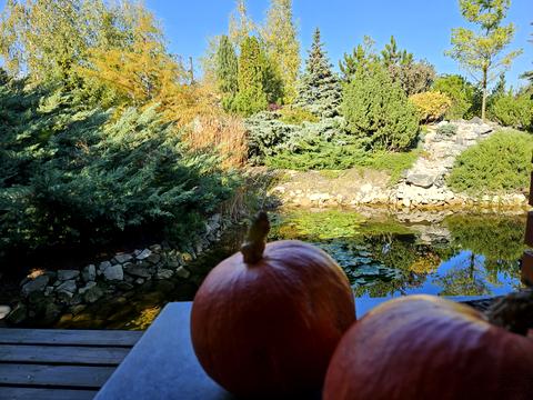 будинок за адресою Рута, 47