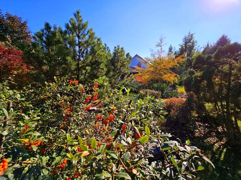 будинок за адресою Рута, 47