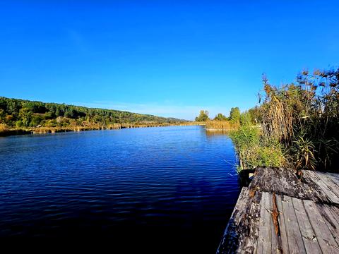 дом по адресу Рута, 48