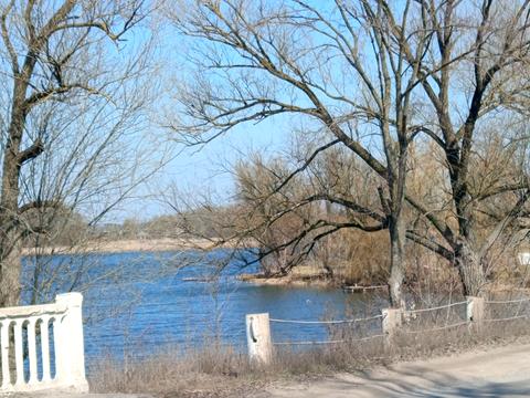 будинок за адресою Шевченка