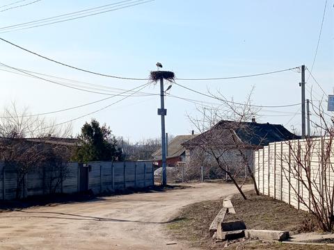 будинок за адресою Шевченка