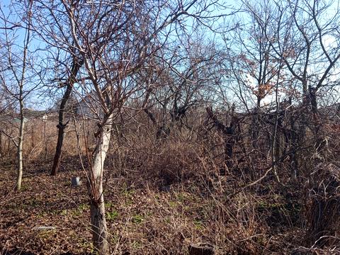 будинок за адресою Шевченка