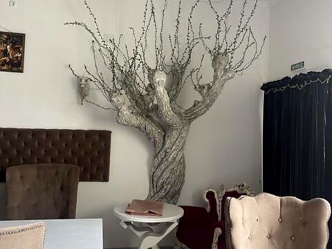 комерційна за адресою Замостянська вул. (50-річчя Перемоги), 16А