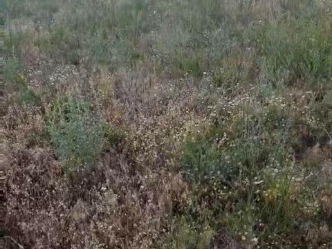 ділянка за адресою Шолуденка