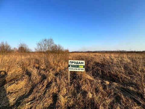 ділянка за адресою Урочище Березняки