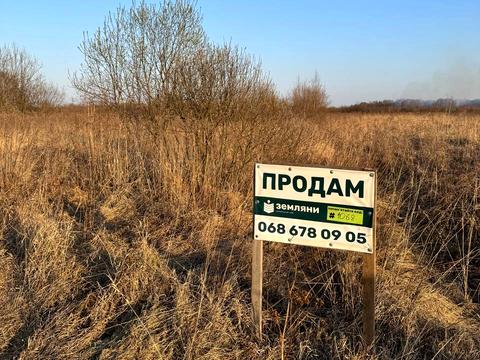 ділянка за адресою Урочище Березняки