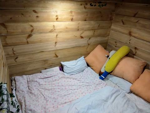 будинок за адресою смт. Велика Димерка, Веселкова