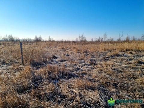 участок по адресу с. Колодиевка, Прошака