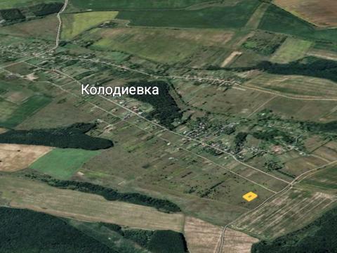 участок по адресу с. Колодиевка, Прошака