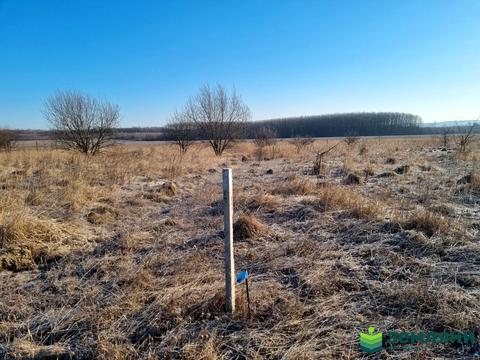 участок по адресу с. Колодиевка, Прошака