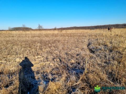 участок по адресу с. Колодиевка, Прошака