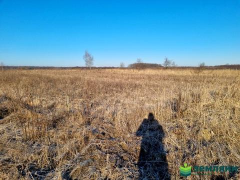 участок по адресу с. Колодиевка, Прошака