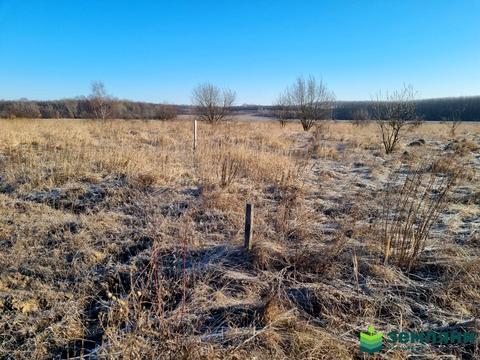 участок по адресу с. Колодиевка, Прошака