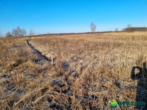 участок по адресу с. Колодиевка, Прошака