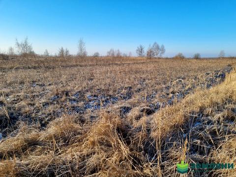 участок по адресу с. Колодиевка, Прошака